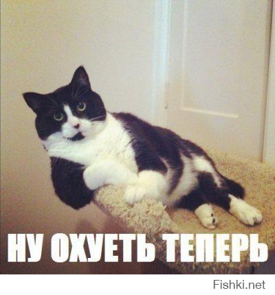Бабуля на самокате