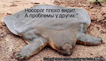 ДТП в Новосибирске. Не уступил КАМАЗУ