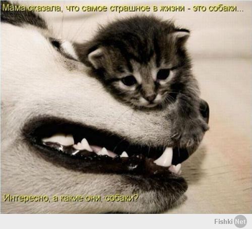 жизнь полна сюрпризов!