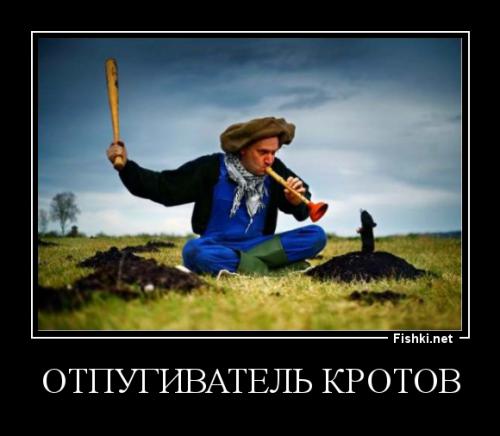 Ах вот он какой!