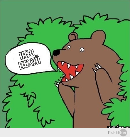 Медведи на все случаи жизни