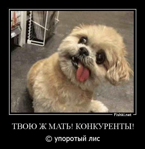 Гифки дня