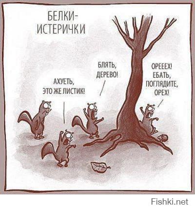 Смешные картинки с подписями