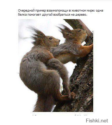 Я думаю, тебе нужна моя помощь!