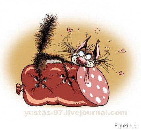 Беспородные коты, кошки и котята
