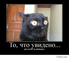 Отжиги из социальной сети