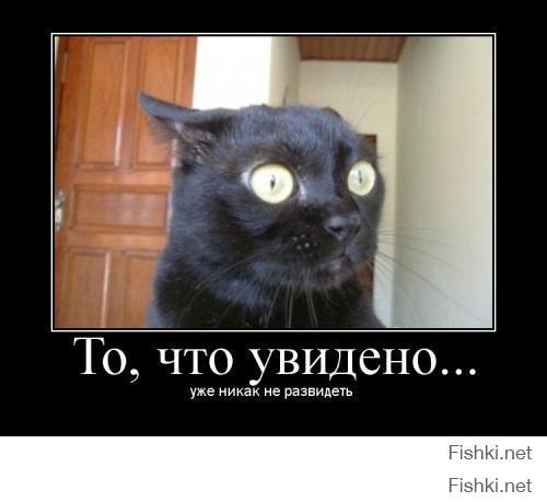 Отжиги из социальной сети