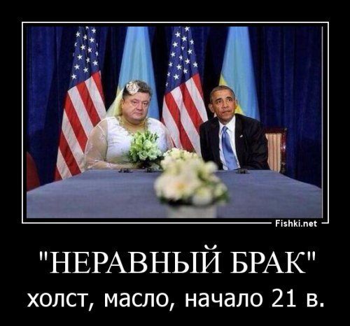 солянка политическая #8