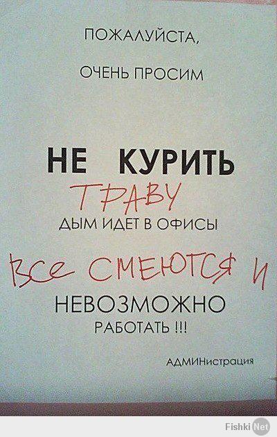 Миша залезай!