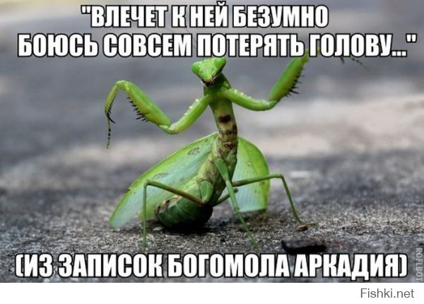 чуть что так сразу Аркадий