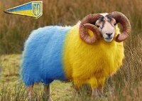 Вместотысячислов