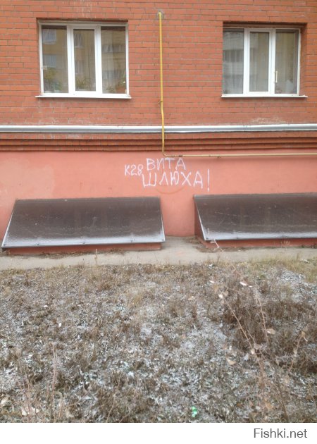 Весёлые картинки