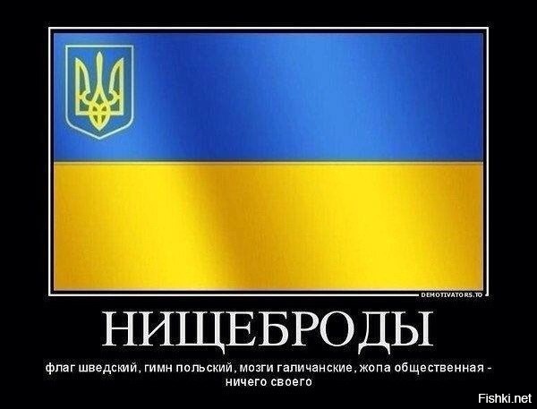 Киевская власть дала украинцам ёмкую и понятную национальную идею.