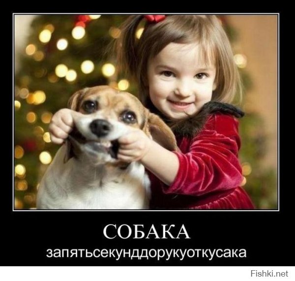31 улыбка от зверушек, которые сделали нас счастливее в 2014 году