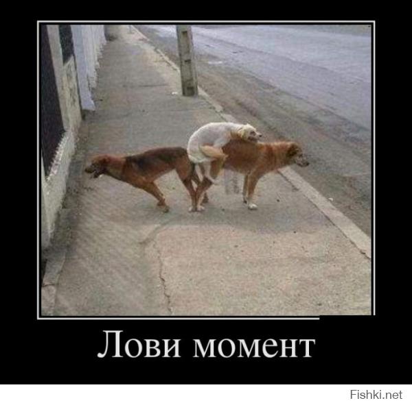 Фото, сделанные в нужный момент
