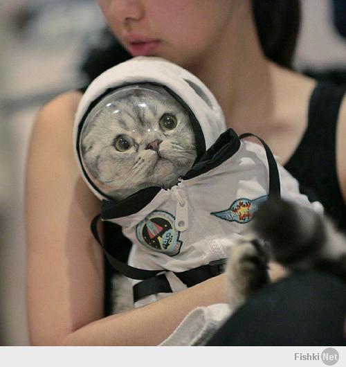 Космонавт Василий