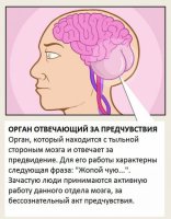 да и похоже очень