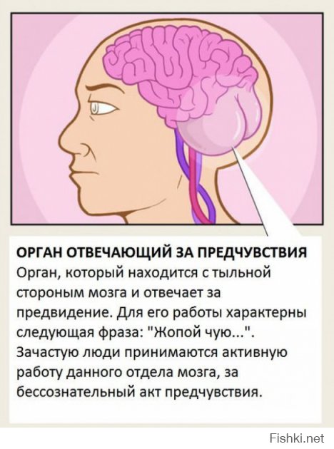 да и похоже очень