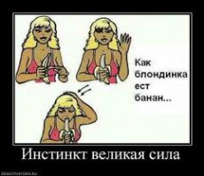 Первая напомнила: