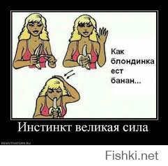 Первая напомнила: