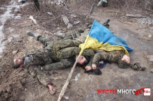 что укро-твари ещё может ваших героев показать?