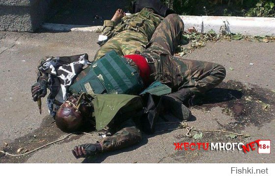 что укро-твари ещё может ваших героев показать?