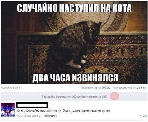 Смешные комментарии из социальных сетей