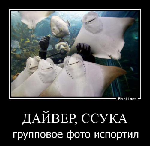 Фотографии, сделанные в нужный момент