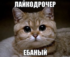Свадьба удалась на славу