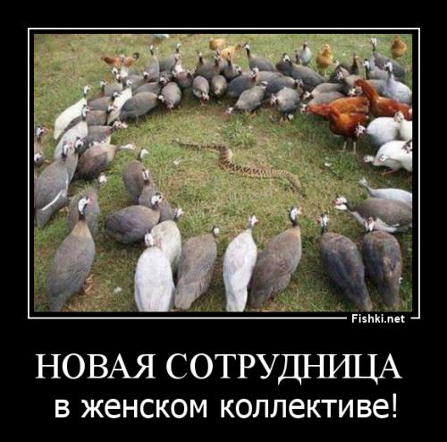 За секунду до...