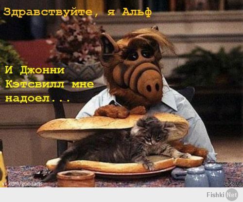 Джонни Кэтсвэлл везде.
