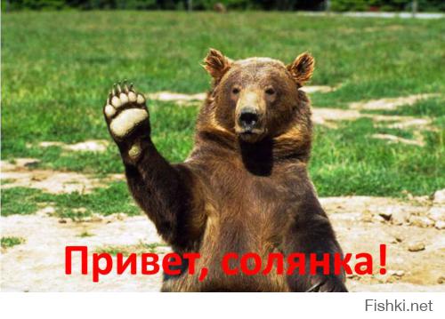 Фишкина солянка за 17.07.2014