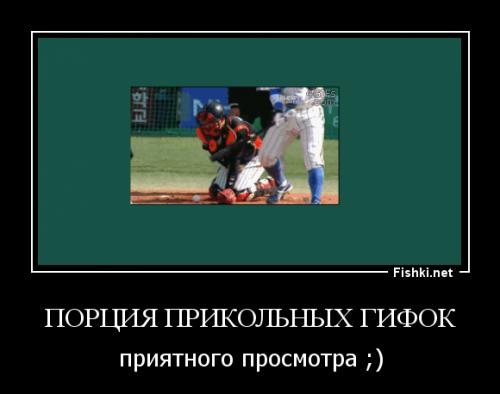 Гифки дня