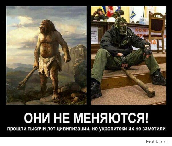 Что написано в украинских учебниках , и Украино-Иранская война )