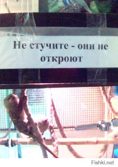 Смешные надписи и объявления