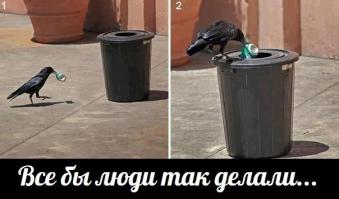 Народная примета