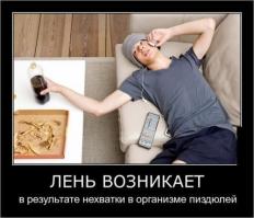 Да что ты знаешь о лени?