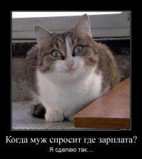 Подборка демотиваторов