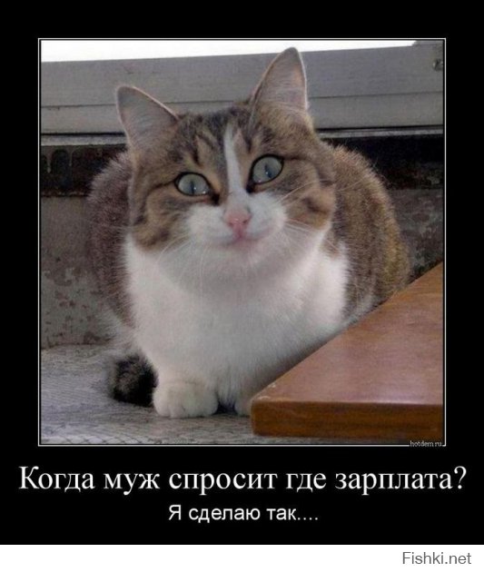 Подборка демотиваторов