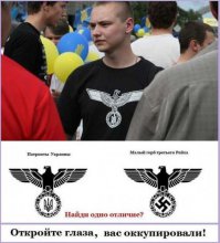 В Донбассе идёт уже почти год выставка " Фашизма нет на Украине "