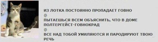 Обязанности кота по дому