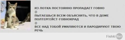 Обязанности кота по дому