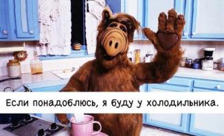 Фишкина солянка за 09.08.2014