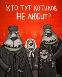 А котики где???