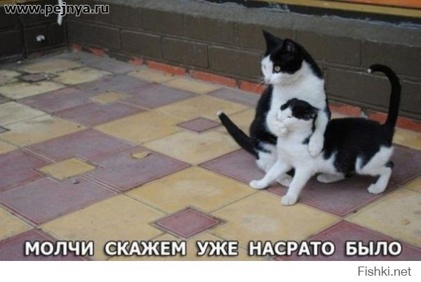 Фотографии, сделанные в нужный момент