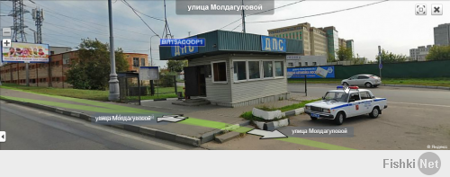 Милое создание, приезжай к нам! Сфоткайся на фоне поста ДПС на пересечении ул. Молдагуловой и МКАД!