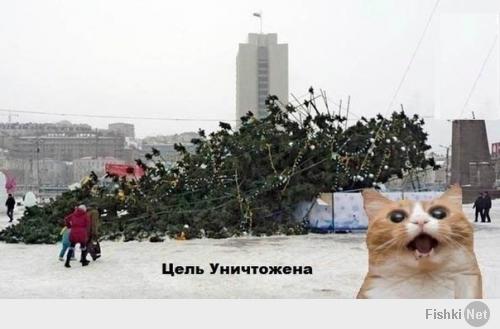 Джонни Кэтсвилл