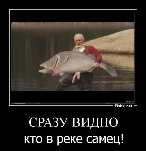 Да, определенно на посте самка