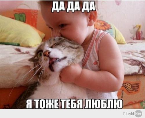 Терпение домашних животных