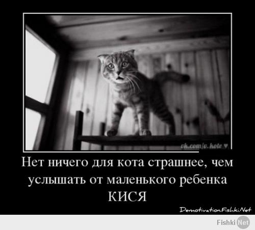 Терпение домашних животных